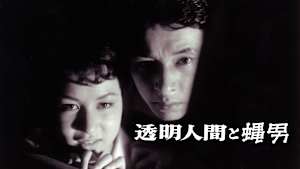 透明人間と蝿男