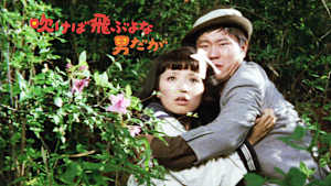 吹けば飛ぶよな男だが