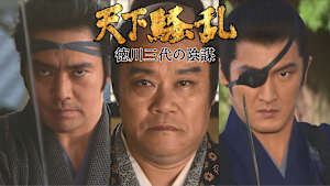 天下騒乱 徳川三代の陰謀