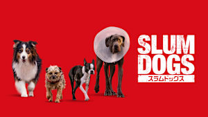 スラムドッグス