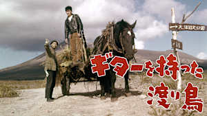 ギターを持った渡り鳥