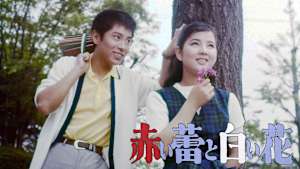 赤い蕾と白い花