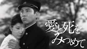 愛と死をみつめて（1964）