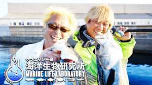 やっぱりシー研 海洋生物研究所