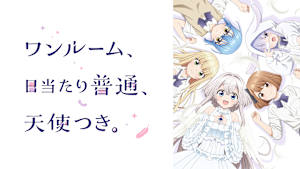 ワンルーム、日当たり普通、天使つき。