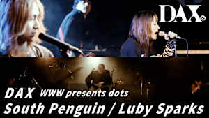 DAX WWW presents dots South Penguin ／ Luby Sparks