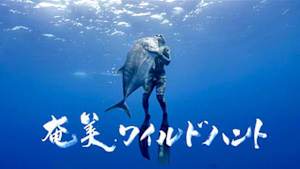 奄美ワイルドハント