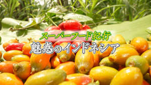 スーパーフード紀行　魅惑のインドネシア