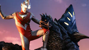 第24話 アグルの決意