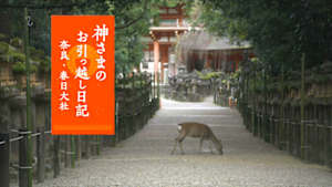 神さまのお引っ越し日記　奈良・春日大社