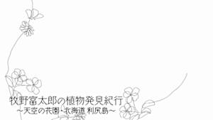 牧野富太郎の植物発見紀行　～天空の花園・北海道　利尻島～