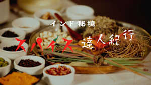 インド秘境　スパイス達人紀行