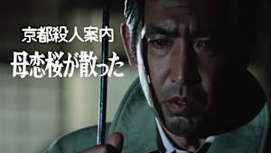 京都殺人案内 母恋桜が散った