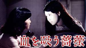 血を吸う薔薇