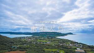 バラカンが見た奄美大島