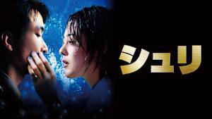 シュリ デジタルリマスター