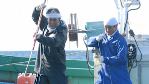 ドラマスペシャル マグロ 後編