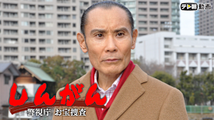 しんがん -警視庁お宝捜査（日曜ワイド）