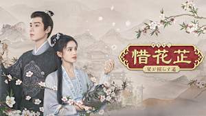 惜花シ～星が照らす道～