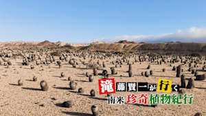 滝藤賢一が行く　南米　珍奇植物紀行