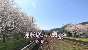 運転席からの風景