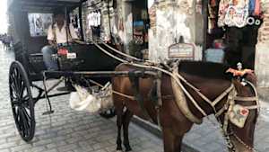 世界ふれあい街歩き　スペインが残した街　ビガン～フィリピン～