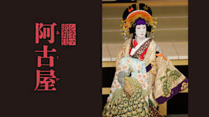 シネマ歌舞伎『阿古屋』