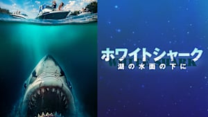 ホワイトシャーク 湖の水面の下に