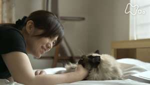 ネコメンタリー　猫も、杓子（しゃくし）も。　柚月裕子とメルとピノ