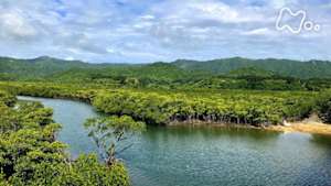 にっぽん百名山　西表島　古見岳～亜熱帯　生命の頂～