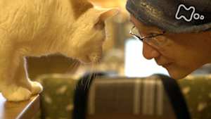 ネコメンタリー　猫も、杓子（しゃくし）も。　神林長平とビタニャ
