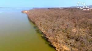 さわやか自然百景　北海道　網走湖畔の森