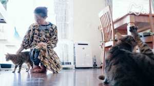 ネコメンタリー　猫も、杓子（しゃくし）も。　内田春菊とトンとアネとイモ