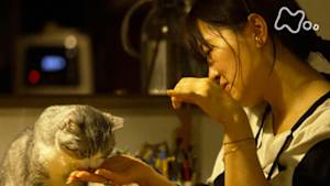 ネコメンタリー　猫も、杓子（しゃくし）も。　坂本美雨とサバ美