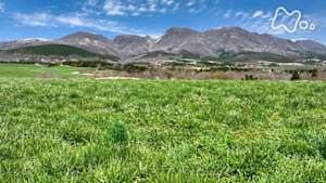にっぽん百名山　くじゅう連山　撮影旅行　～“九州の屋根″を巡る～
