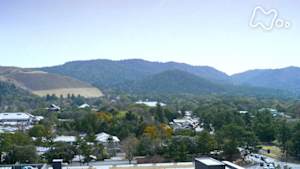 さわやか自然百景　奈良　春日山原始林