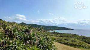 さわやか自然百景　春　沖縄　石垣島の海
