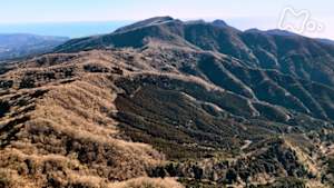 にっぽん百名山　火山の造形を楽しむ～伊豆半島・天城山～