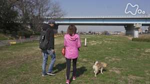 ドキュメント７２時間　密着！“レンタル　なんもしない人”