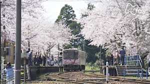 ドキュメント７２時間　能登半島　桜咲く無人駅で