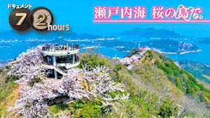 ドキュメント７２時間　瀬戸内海　桜の島で