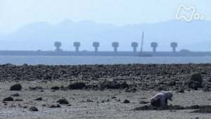 ＥＴＶ特集　引き裂かれた海～長崎・国営諫早湾干拓事業の中で～