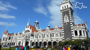 世界ふれあい街歩き　スコットランド移民の理想郷　ダニーデン～ニュージーランド～