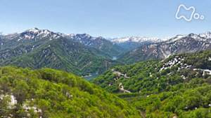 さわやか自然百景　福島　只見　ブナの森