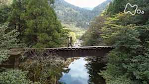 にっぽん百名山　屋久島　太忠岳～千年杉の森と人の営み～