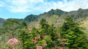 にっぽん百名山　祖母山～命育む　曙（あけぼの）の峰～