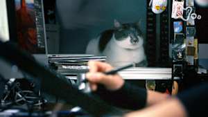 ネコメンタリー　猫も、杓子（しゃくし）も。　石渡治とまめとこにゃ