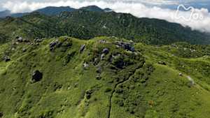 にっぽん百名山　洋上アルプスの森をゆく～屋久島・宮之浦岳～