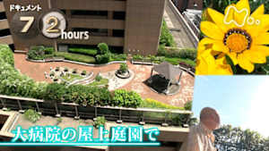 ドキュメント７２時間　大病院の屋上庭園で