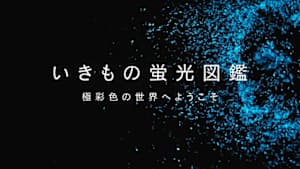 いきもの蛍光図鑑　極彩色の世界へようこそ